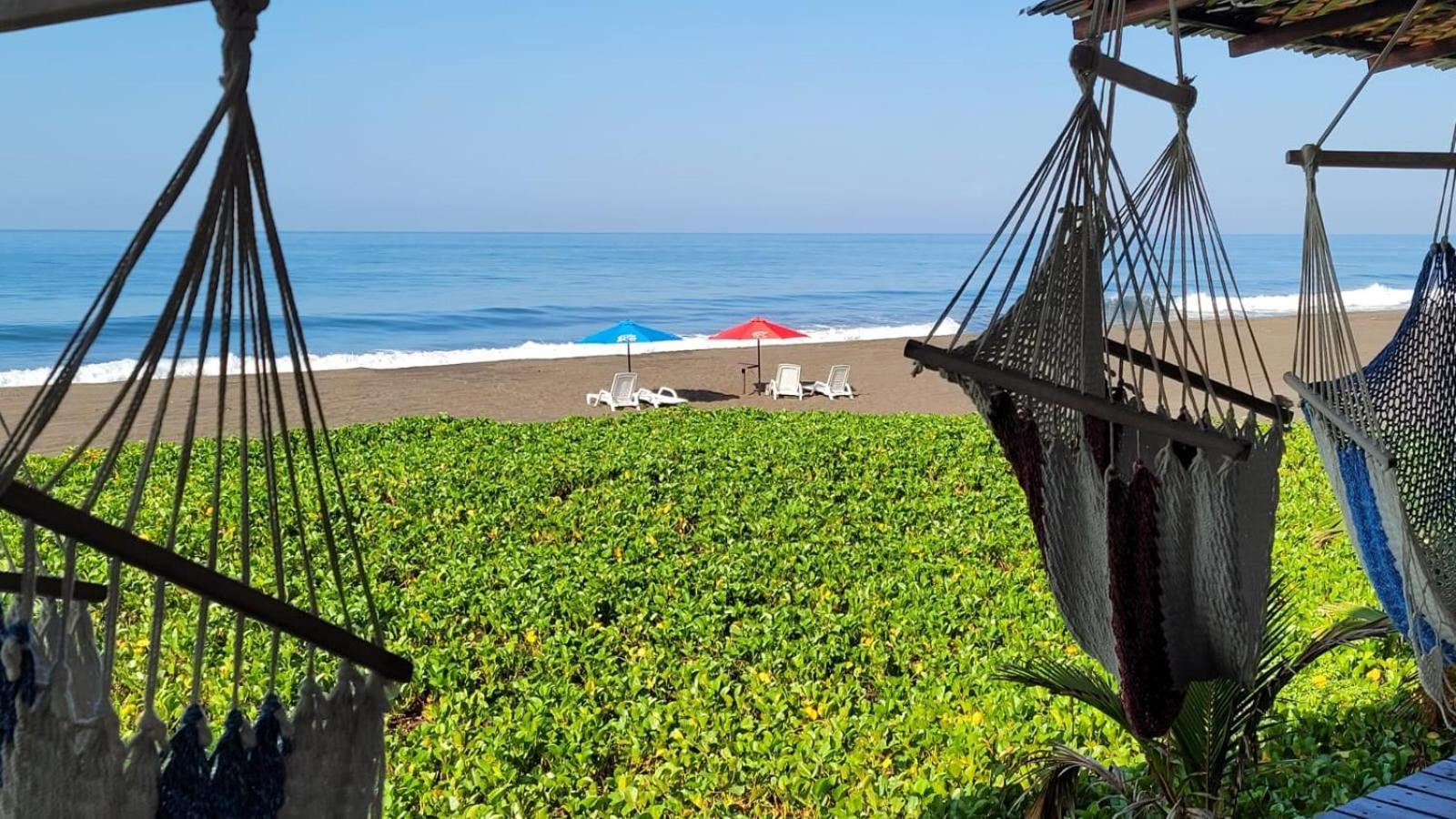 Hotel Hawaian Paradise ฮาวายอิ ภายนอก รูปภาพ